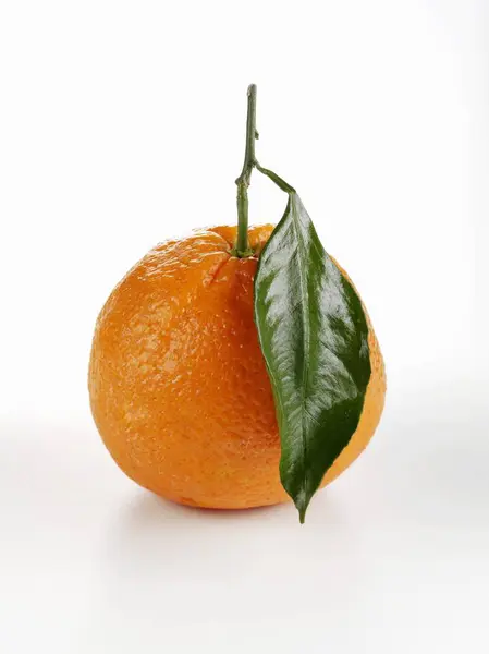 Naranja maduro con hoja — Foto de Stock
