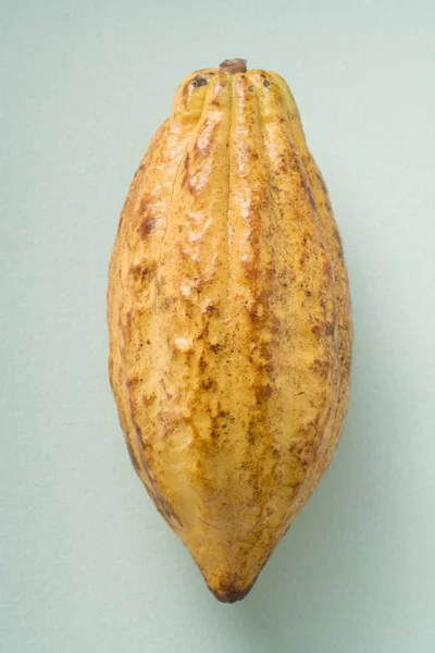 Rohe Kakaofrucht — Stockfoto