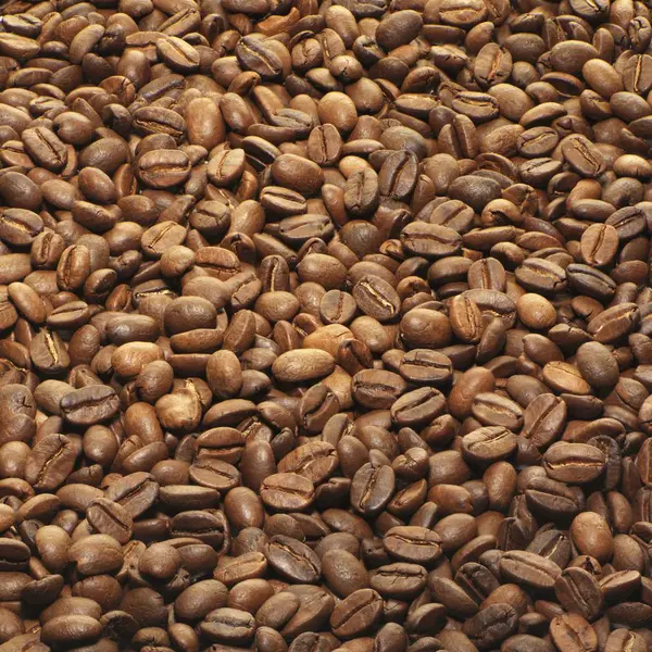 全体のローストのコーヒー豆 — ストック写真