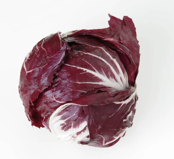 흰색 배경에 radicchio — 스톡 사진