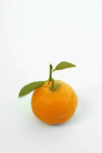 Ornamental orange with leaves — Stock Photo, Image