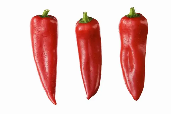 Red pointed peppers — Stock Photo, Image