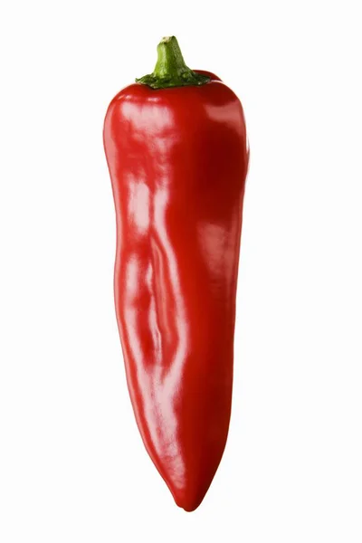 Špičaté červené papriky — Stock fotografie