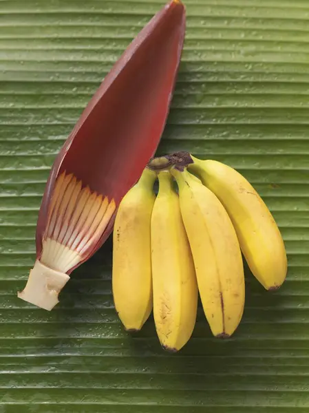 バナナとバナナの花の束 — ストック写真