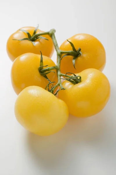 Pięciu pomidorki z żółty — Zdjęcie stockowe