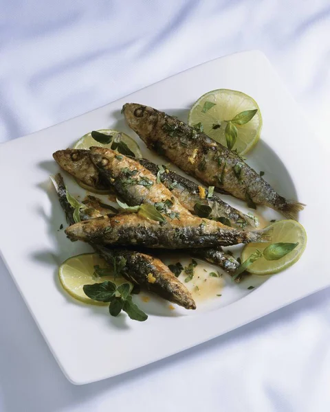 Fried sardines with herbs — Stock Photo, Image