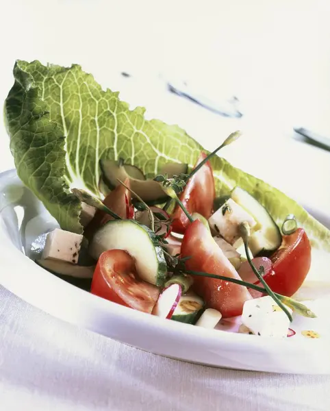 Salada de tomate e pepino — Fotografia de Stock