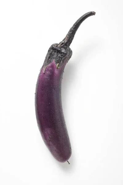 Dünne lila Aubergine — Stockfoto