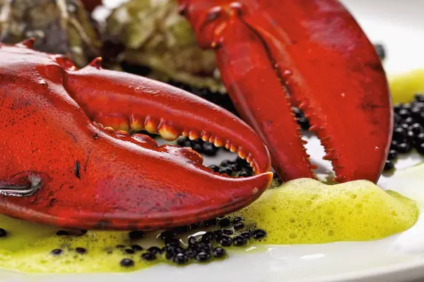 Langosta con caviar y ostras — Foto de Stock