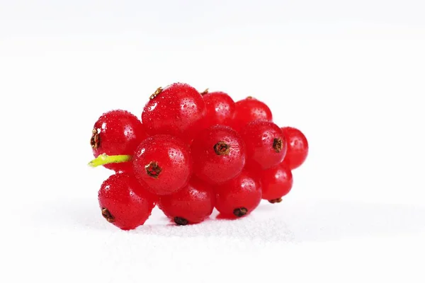 Bunch of fresh redcurrants — Stock Photo, Image