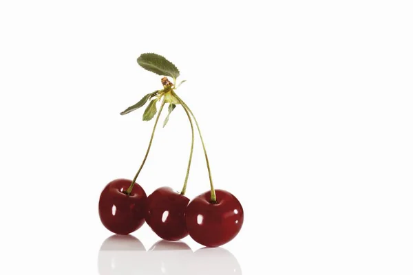 Red cherries on stalks — Stock Photo, Image