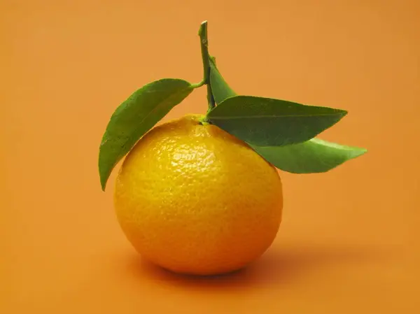 Mandarin orange with leaves — Stock Photo, Image