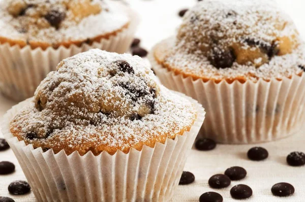 Muffin con gocce di cioccolato — Foto Stock