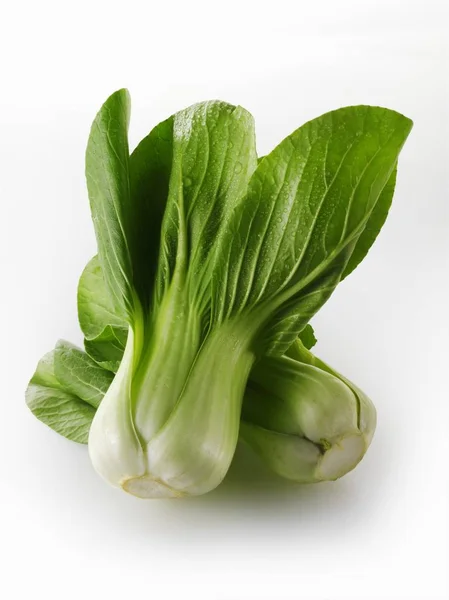 Αρχηγοί λάχανο pak choi — Φωτογραφία Αρχείου