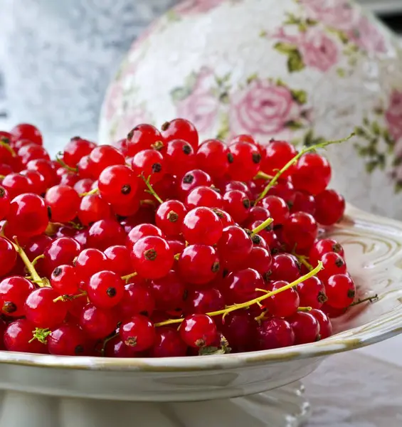 Bowl of ripe redcurrants — Stock Photo, Image