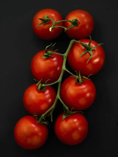 Vine of red tomatoes — Stock Photo, Image