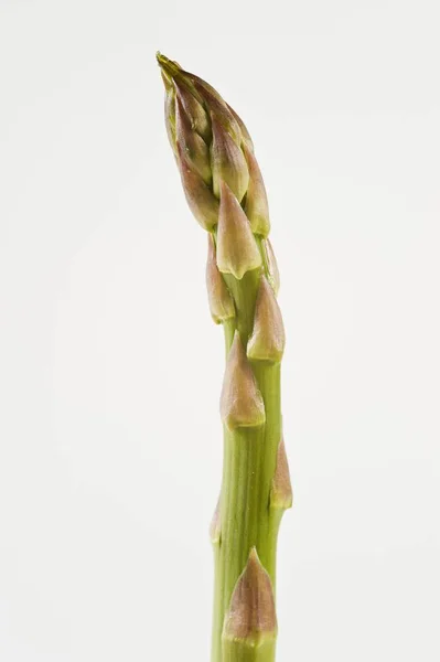 Speer van groene asperges — Stockfoto