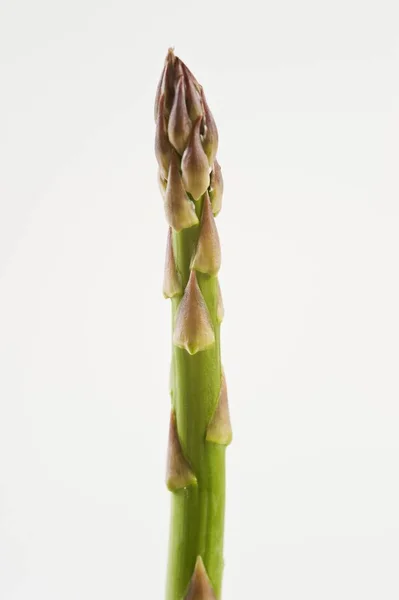 Speer van groene asperges — Stockfoto