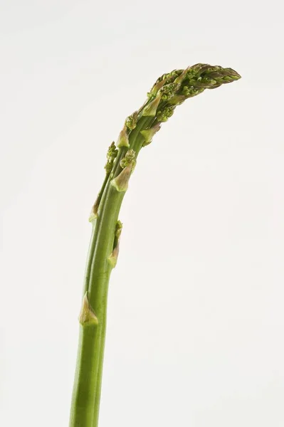 Speer van groene asperges — Stockfoto