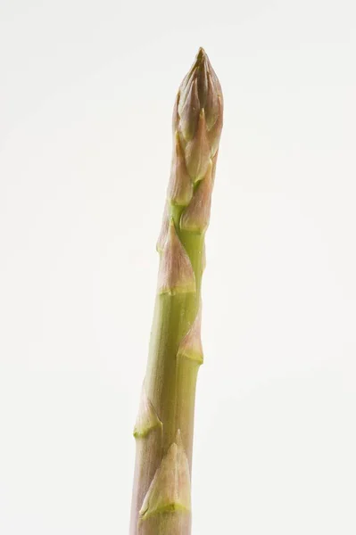 Speer van groene asperges — Stockfoto