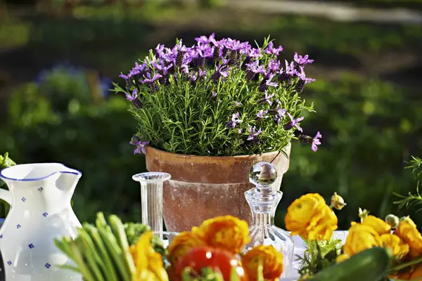 신선한 야채와 테이블에 — 스톡 사진
