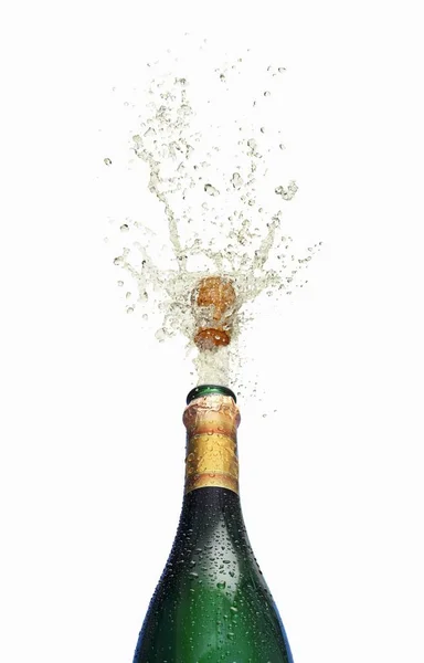 Splash av champagne på vit bakgrund — Stockfoto