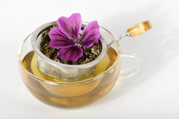 Nahaufnahme Von Malvenaufguss Mit Tee Und Blume Sieb — Stockfoto