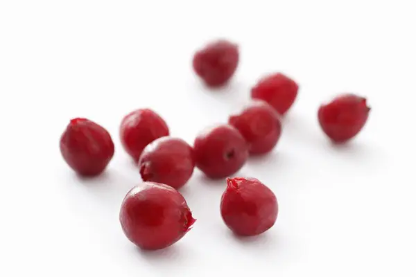 Verse rijpe Lingonberries — Stockfoto