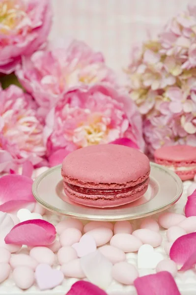 Roze macaroon op de plaat van een zilver — Stockfoto