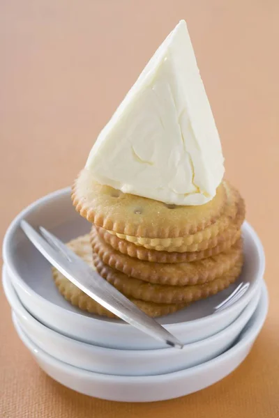 Tavený sýr na sušenky — Stock fotografie
