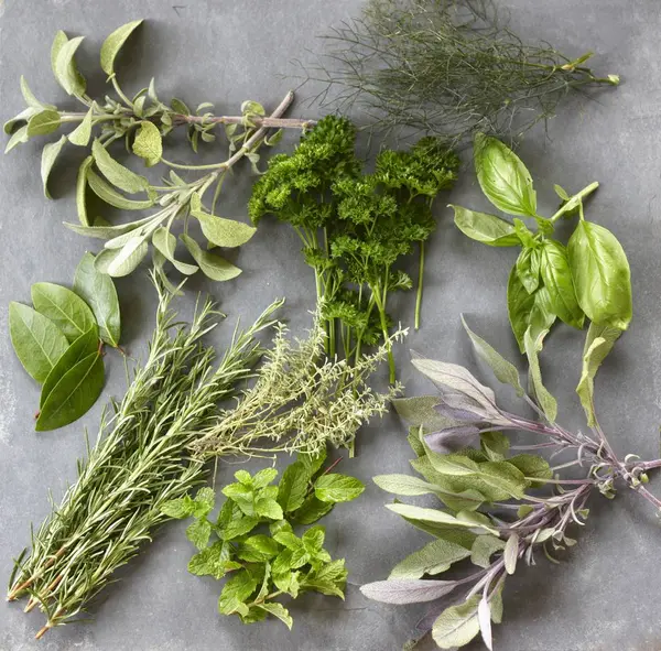 Top View Different Herbs Gray Surface — Stock Photo, Image