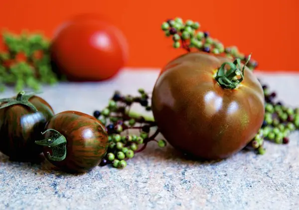 Zebra tomatoes and vines of pepper — Stock Photo, Image