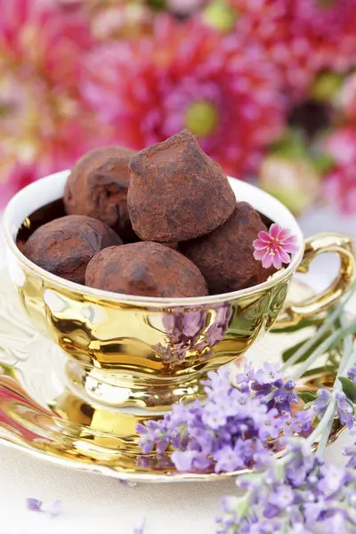 Truffle pralines in cup — Stock Photo, Image