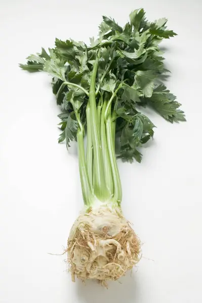 Celeriac Root White Surface — Stock Photo, Image