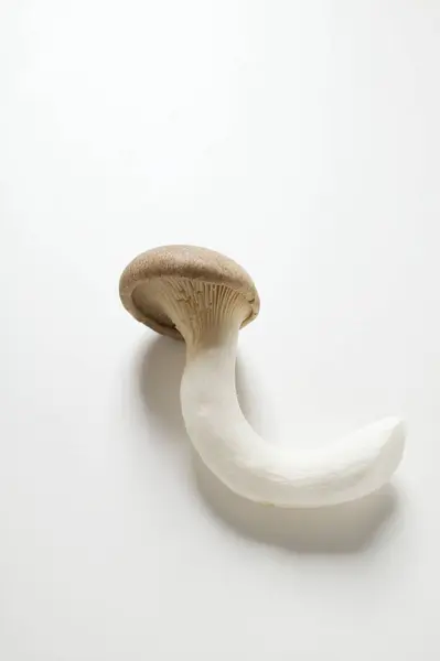 King oyster mushroom — Stock Photo, Image