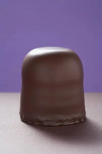 Mit Schokolade überzogener Eibisch — Stockfoto
