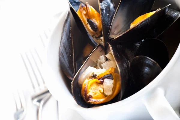 Cooked Mussels in wine — Stock Photo, Image