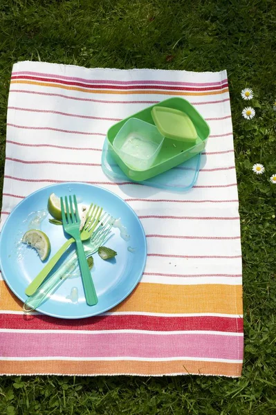 Cleared Plate Picnic Crockery Striped Cloth — Stock Photo, Image