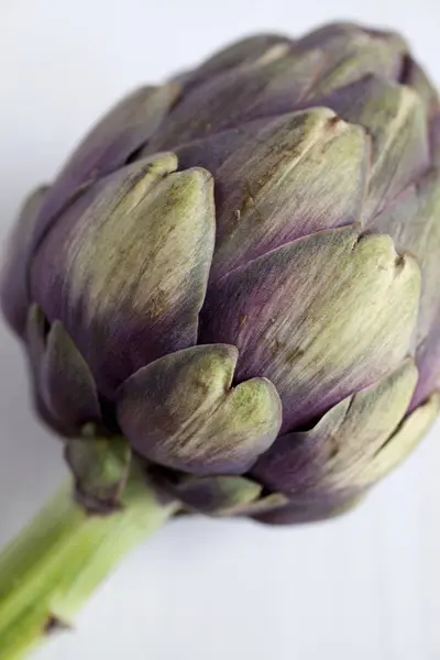 Fresh purple artichoke — Stock Photo, Image