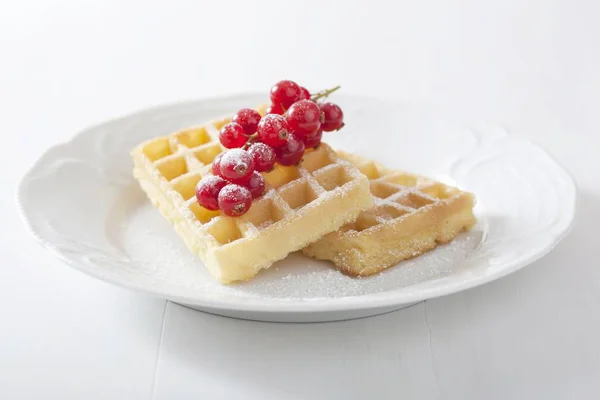 Waffles with redcurrants and  sugar — Stock Photo, Image