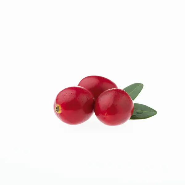 Cranberries with water droplets — Stock Photo, Image