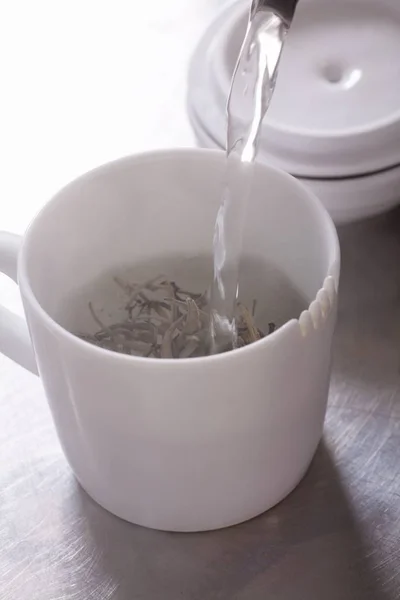 Verser de l'eau sur le thé au jasmin — Photo