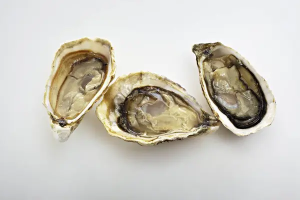 Fresh Gillardeau oysters — Stock Photo, Image