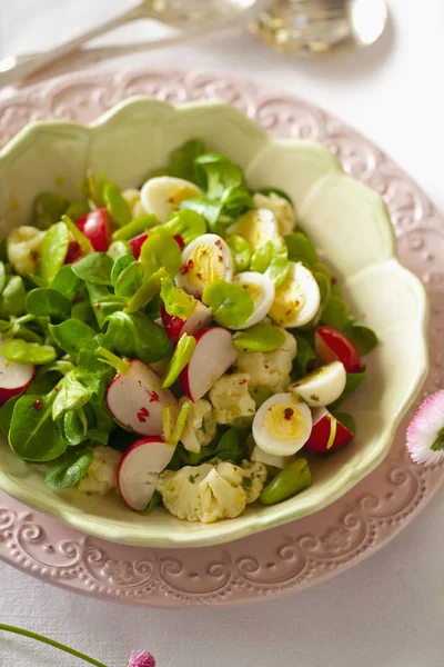 Colourful Salad Quail Eggs Bowl — Stock Photo, Image