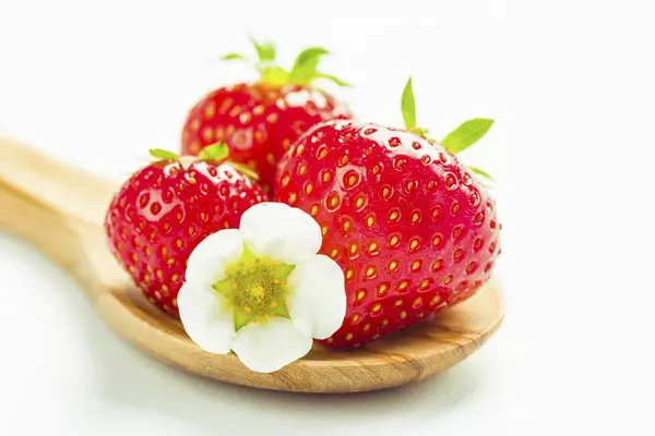 Fresh Strawberries with blossom — Stock Photo, Image
