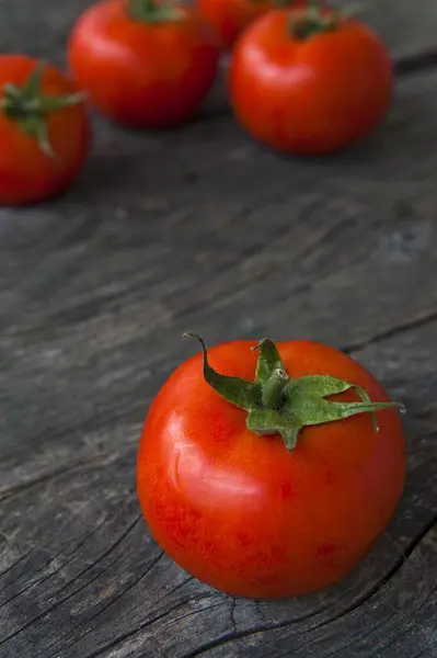 Fresh red Tomatoes — Stock Photo, Image