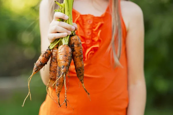 Meisje bedrijf wortelen — Stockfoto