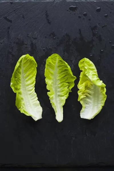 Three fresh lettuce leaves — Stock Photo, Image