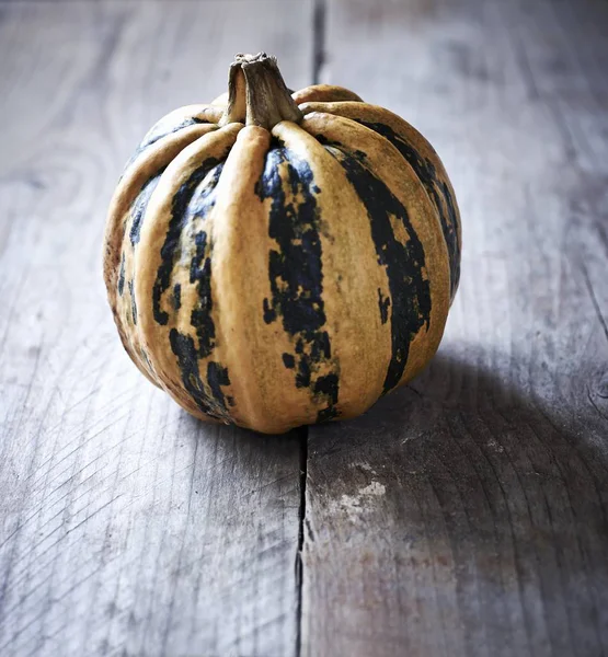 Calabaza rayada amarilla y verde — Foto de Stock