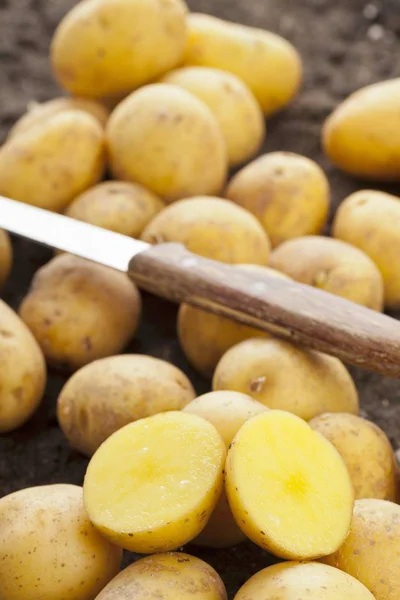 Hele en halve aardappelen — Stockfoto